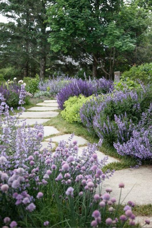 A planted garden path and fence